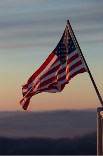 How Immigration Companies Facilitate U.S. Student Visa and University Admission